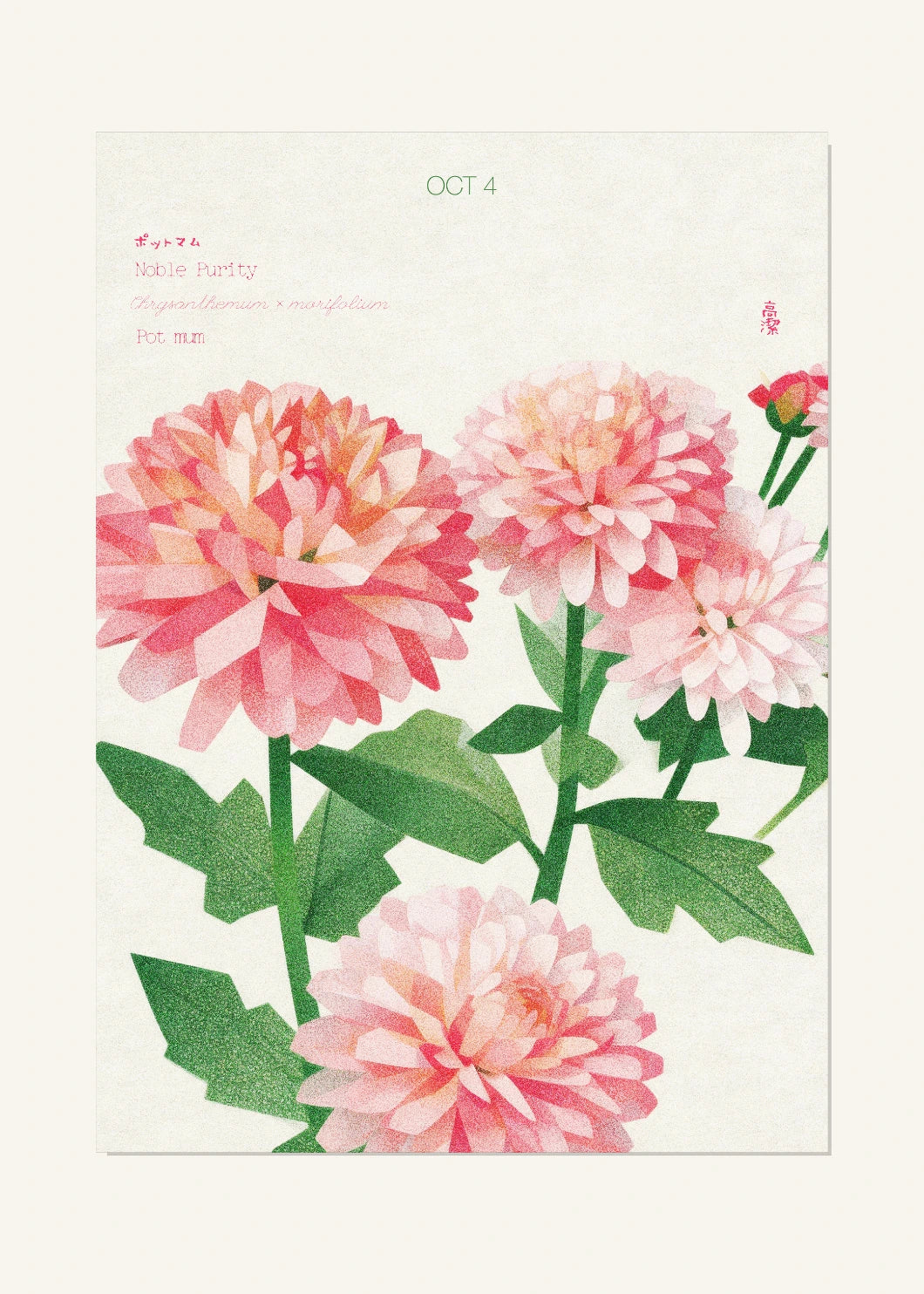 October 4 Birth Flower Poster — Pot Mum — clean