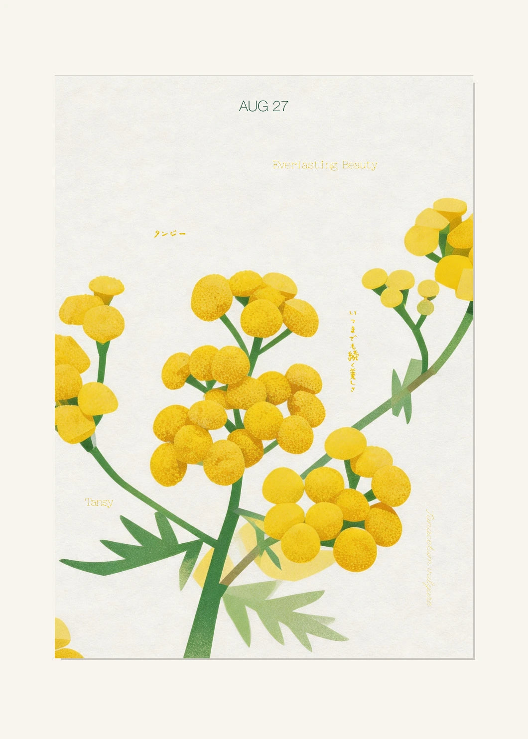August 27 Birth Flower Poster — Tansy — clean
