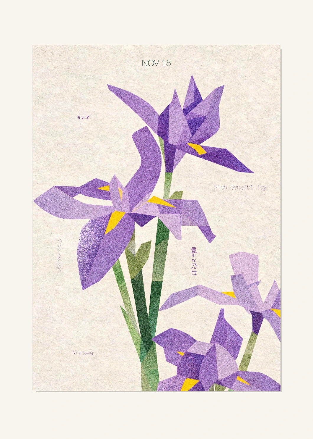 November 15 Birth Flower Poster — Moraea — clean