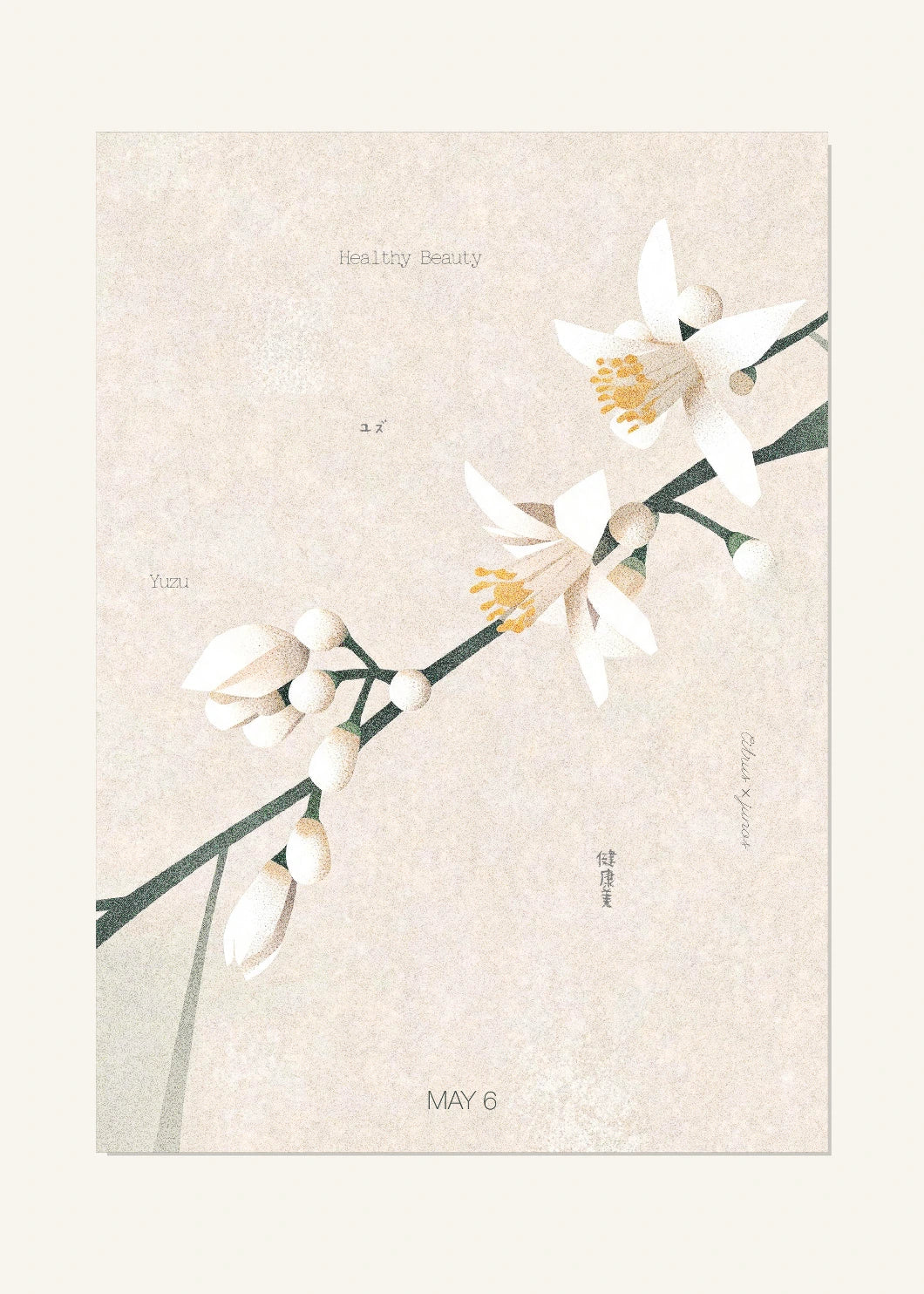 May 6 Birth Flower Poster — Yuzu — clean