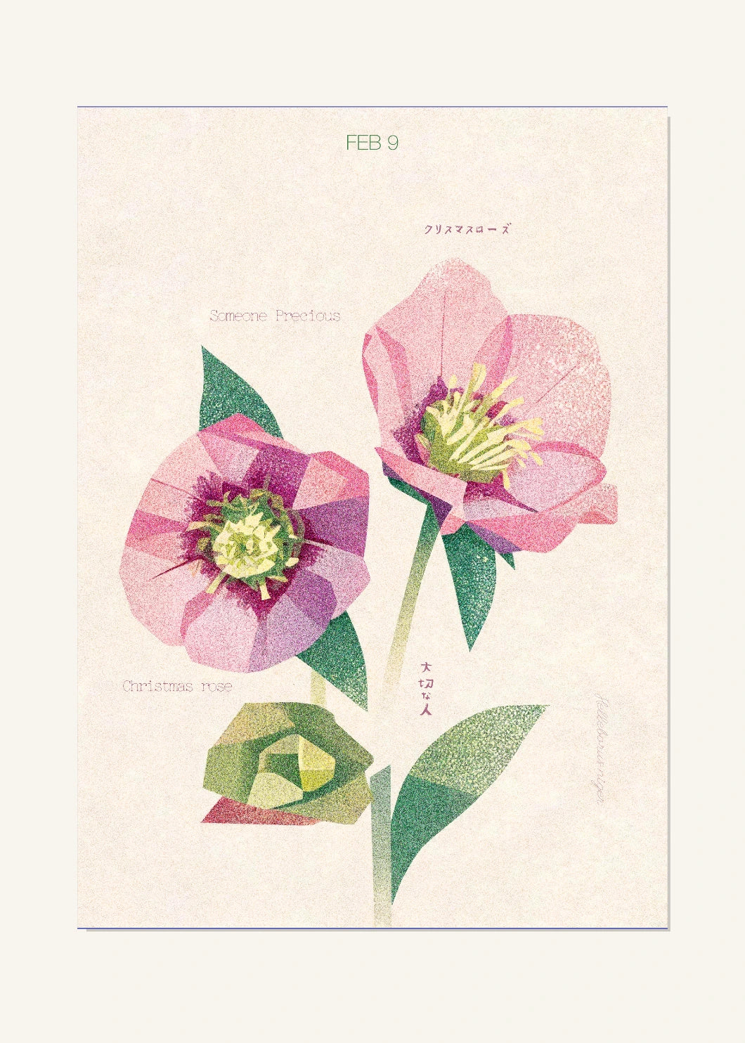 February 9 Birth Flower Poster — Christmas Rose — clean