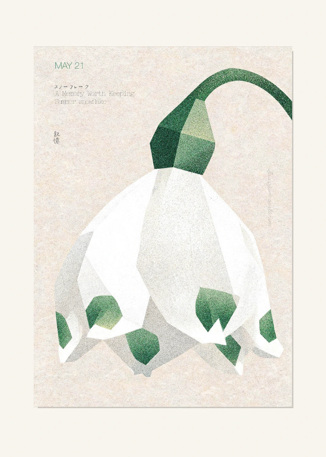 May 21 Birth Flower Poster — Summer Snowflake — clean