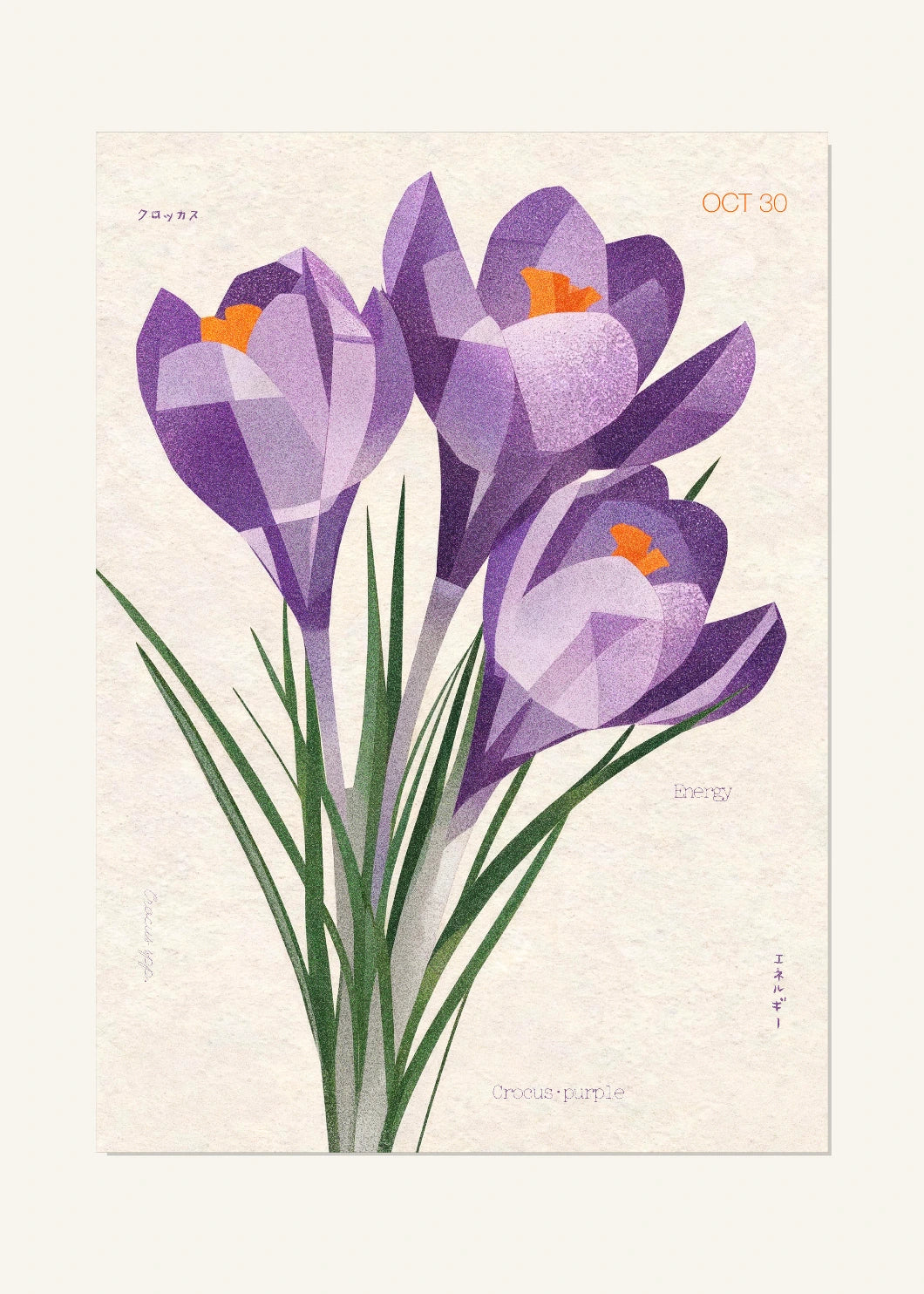 October 30 Birth Flower Poster — Crocus (Purple) — clean
