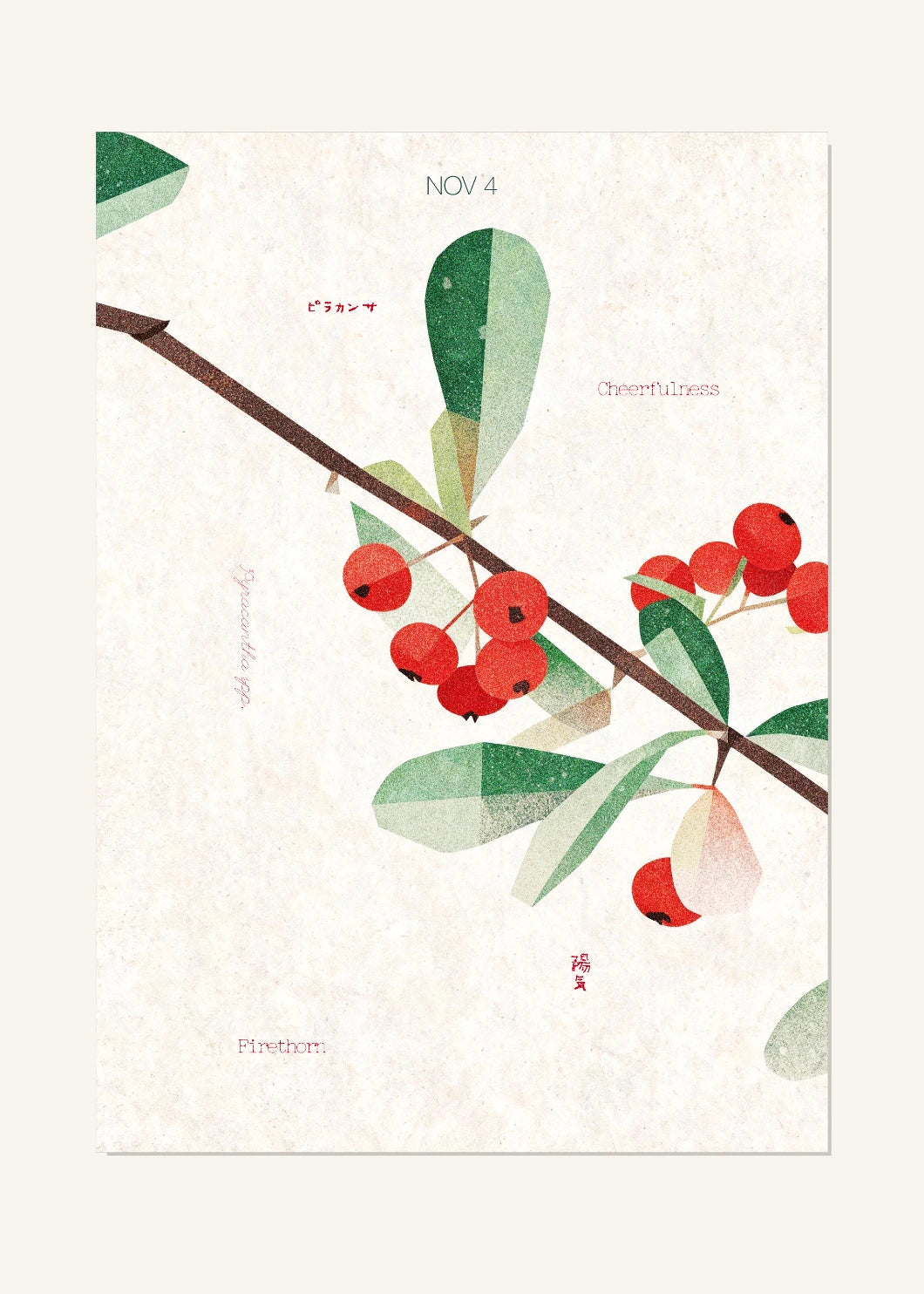 November 4 Birth Flower Poster — Firethorn — clean