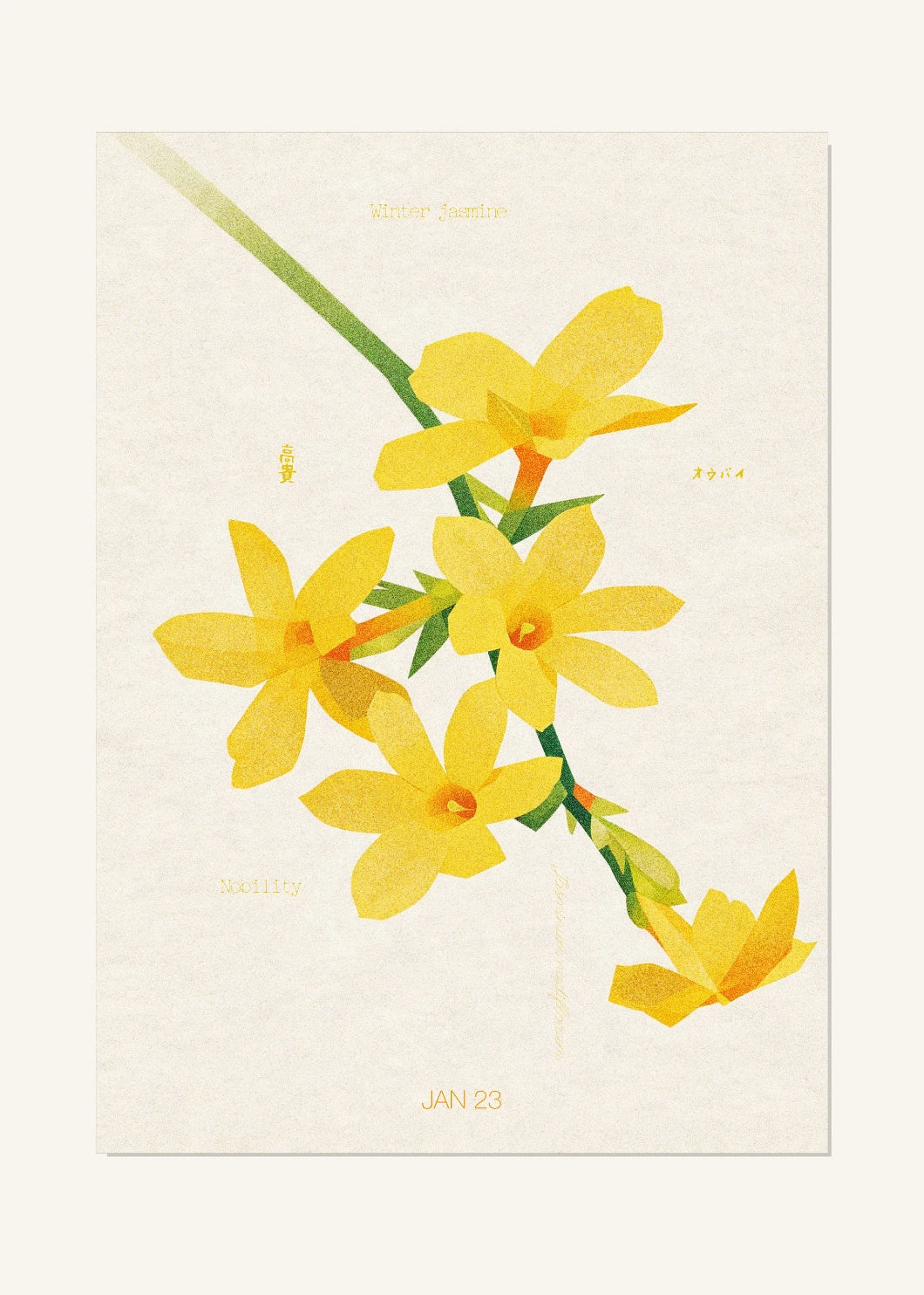 January 23 Birth Flower Poster — Winter Jasmine — clean