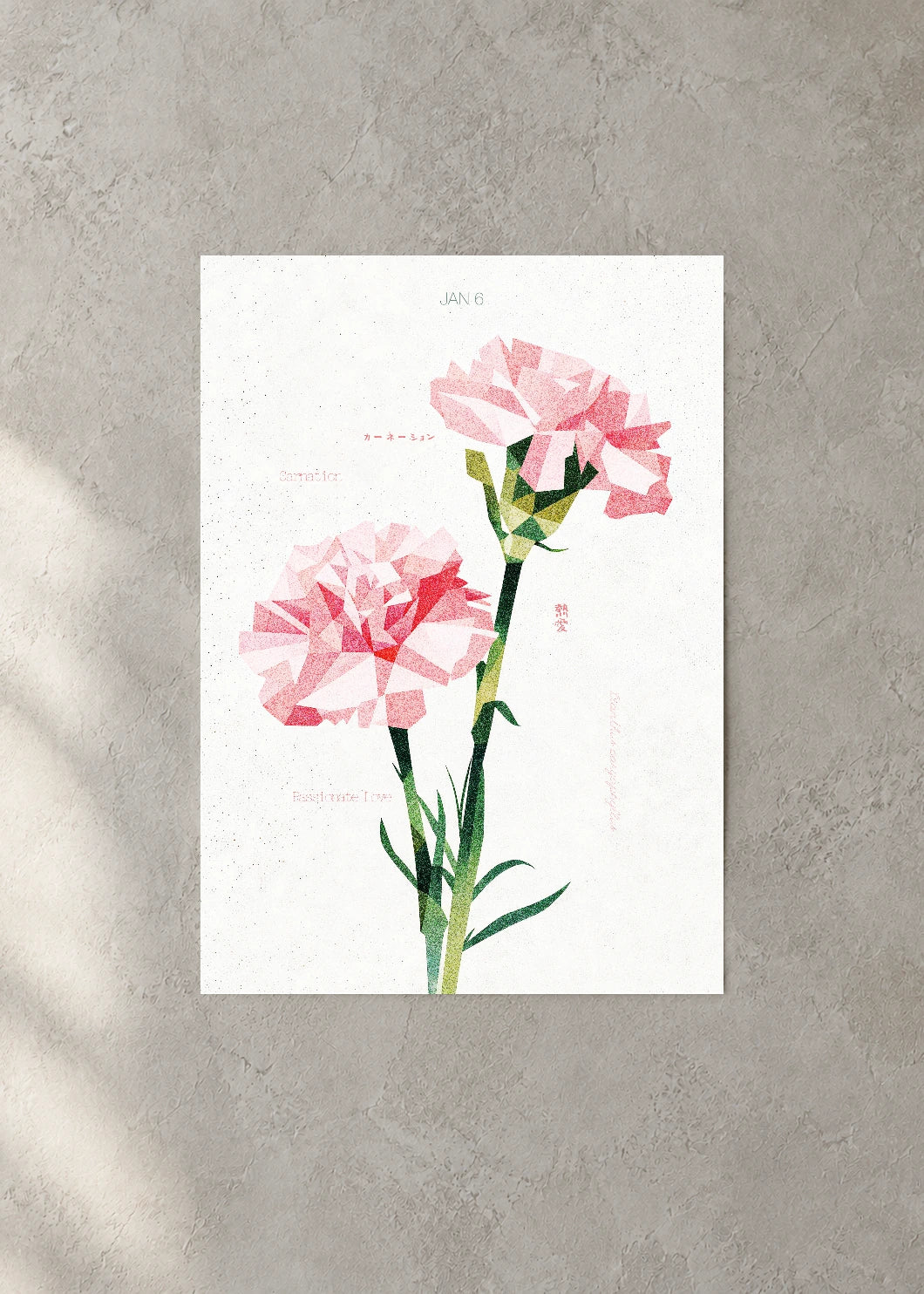 January 6 Birth Flower Poster — Carnation (Pink) — concrete wall