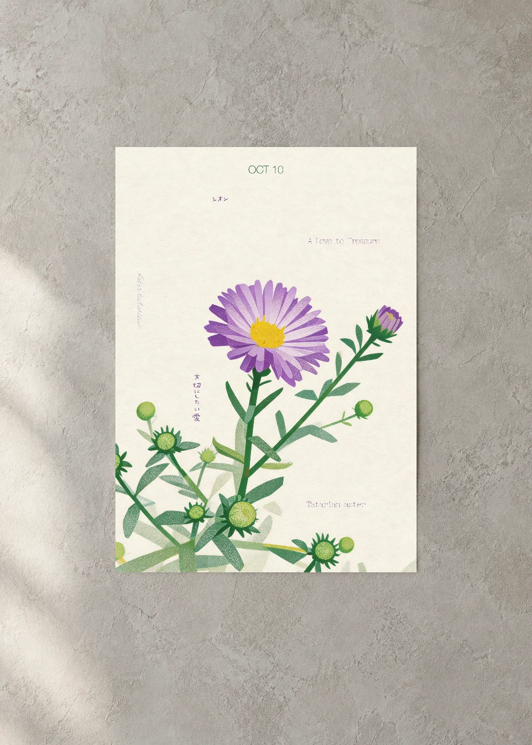 October 10 Birth Flower Poster — Tatarian Aster — concrete wall