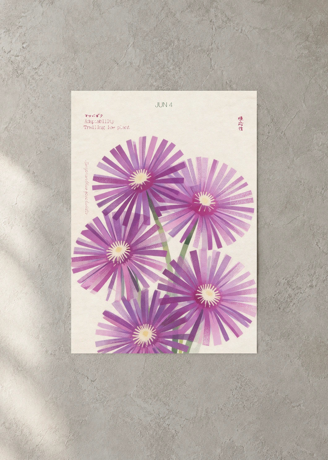 June 4 Birth Flower Poster — Trailing Ice Plant — concrete wall