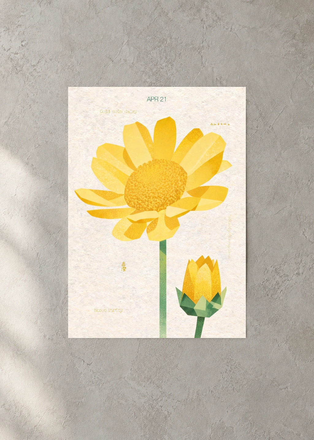 April 21 Birth Flower Poster — Gold Coin Daisy — concrete wall
