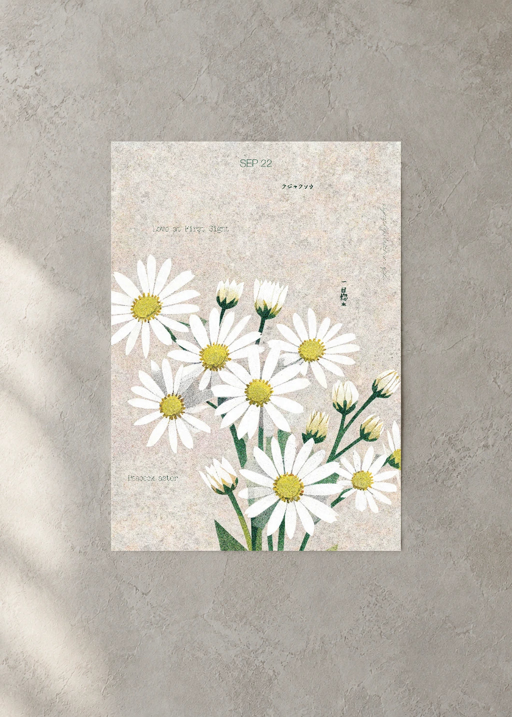 September 22 Birth Flower Poster — Peacock Aster — concrete wall
