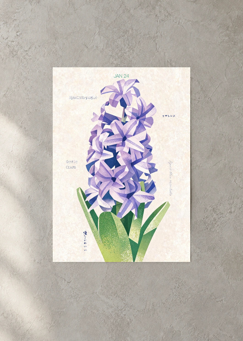 January 24 Birth Flower Poster — Hyacinth (Purple) — concrete wall