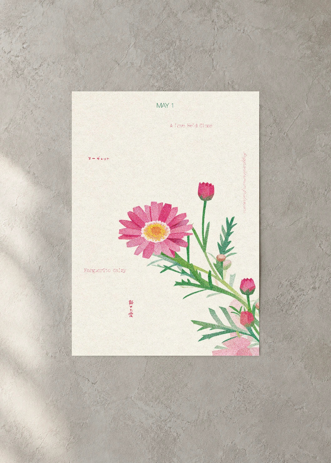May 1 Birth Flower Poster — Marguerite Daisy — concrete wall