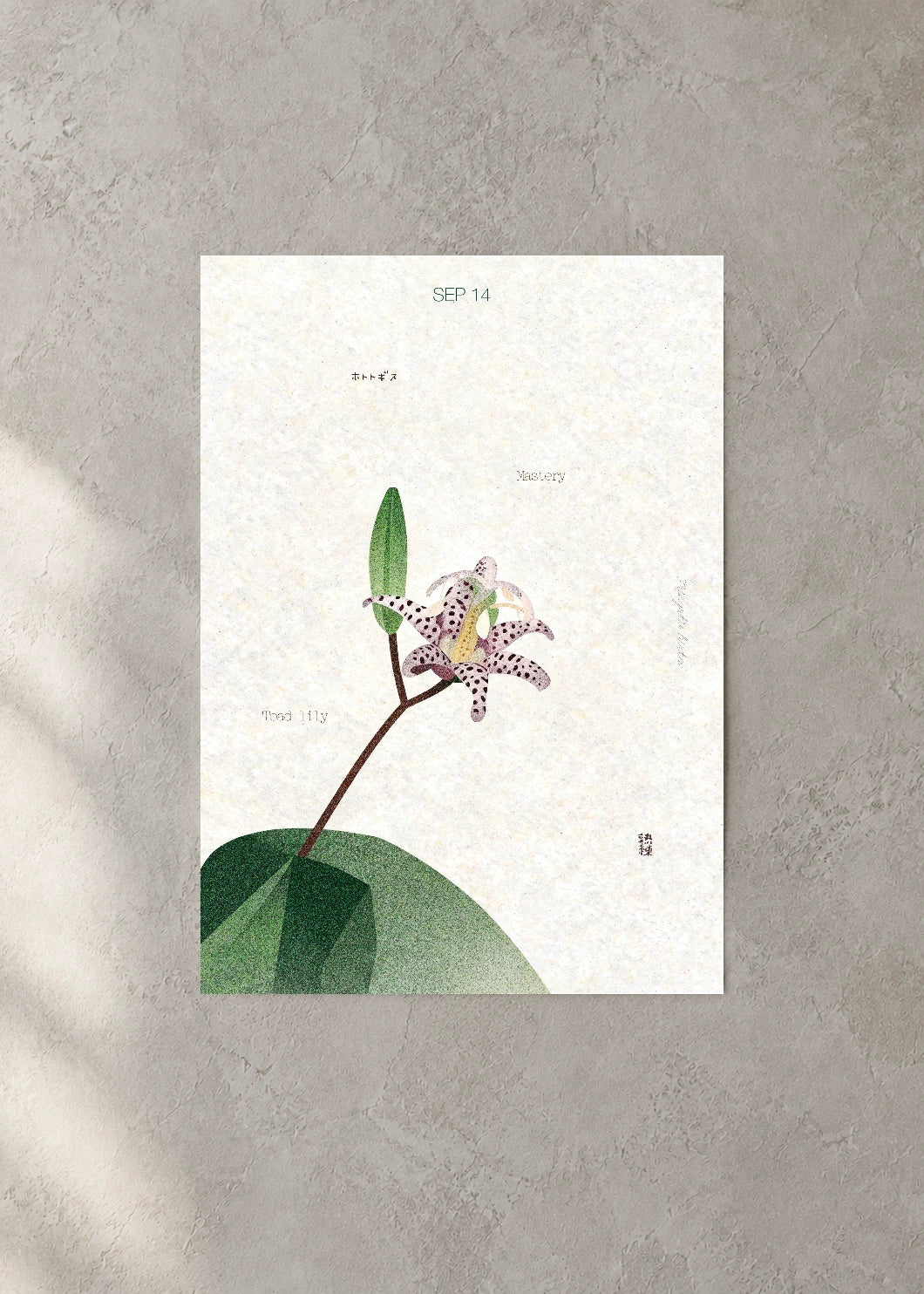 September 14 Birth Flower Poster — Toad Lily — concrete wall