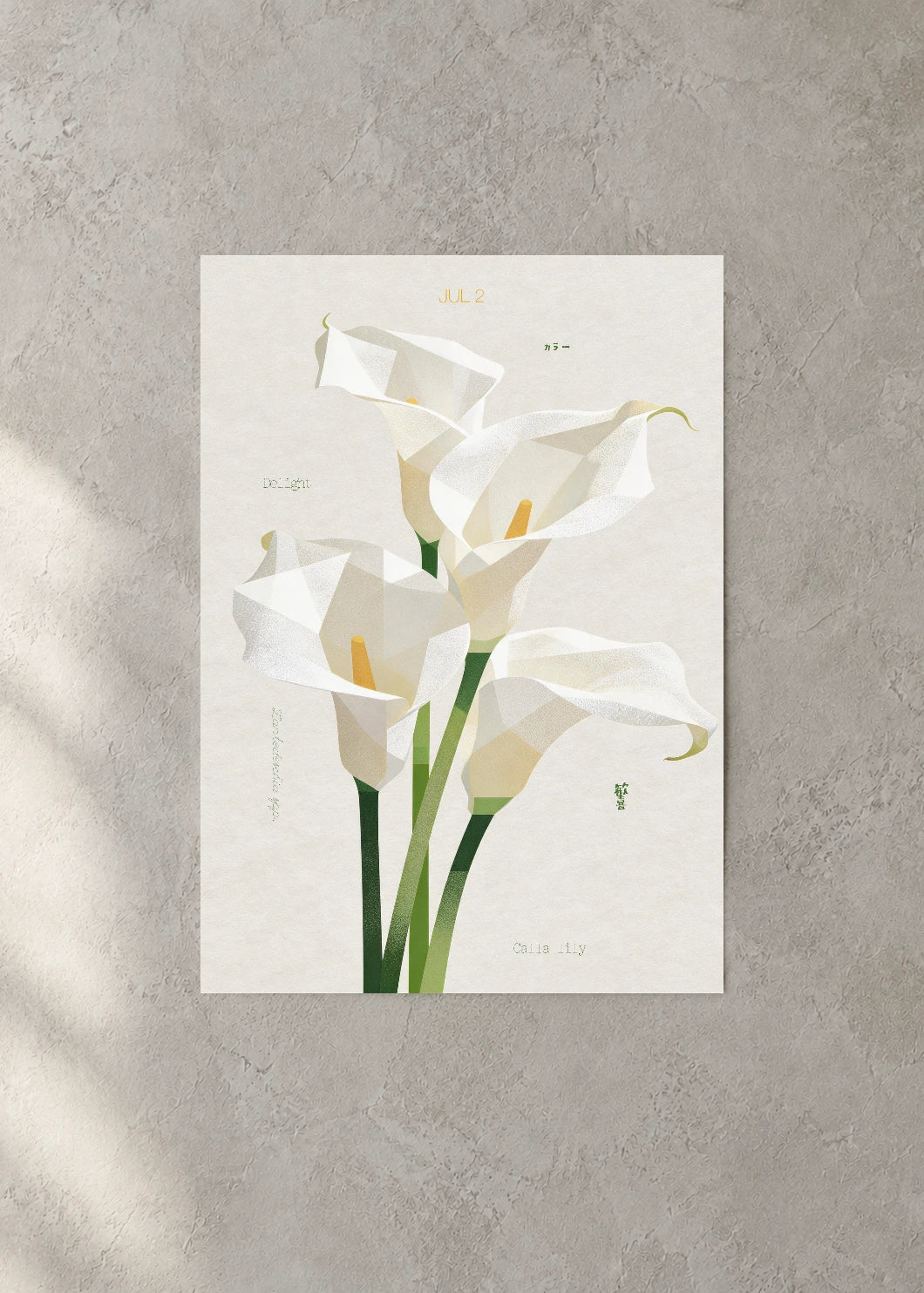 July 2 Birth Flower Poster — Calla Lily (White) — concrete wall