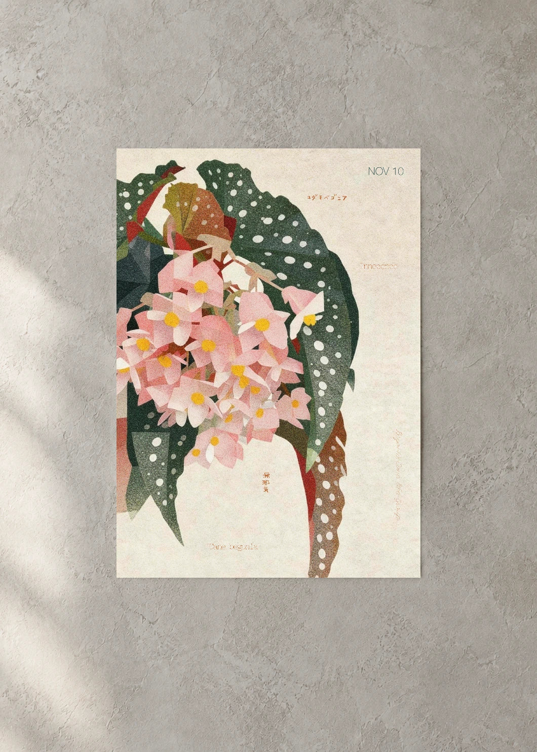 November 10 Birth Flower Poster — Cane Begonia — concrete wall