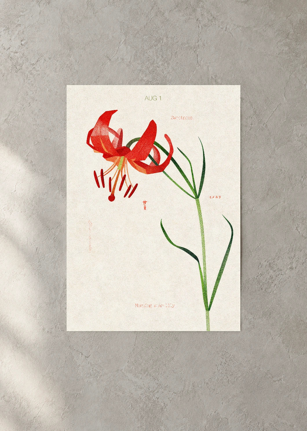 August 1 Birth Flower Poster — Morning Star Lily — concrete wall