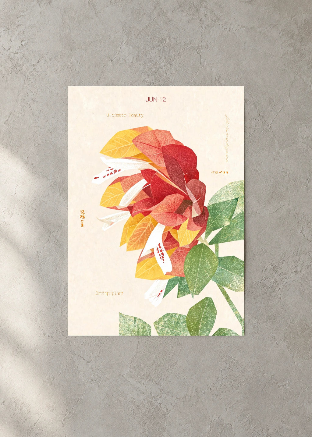 June 12 Birth Flower Poster — Shrimp Plant — concrete wall