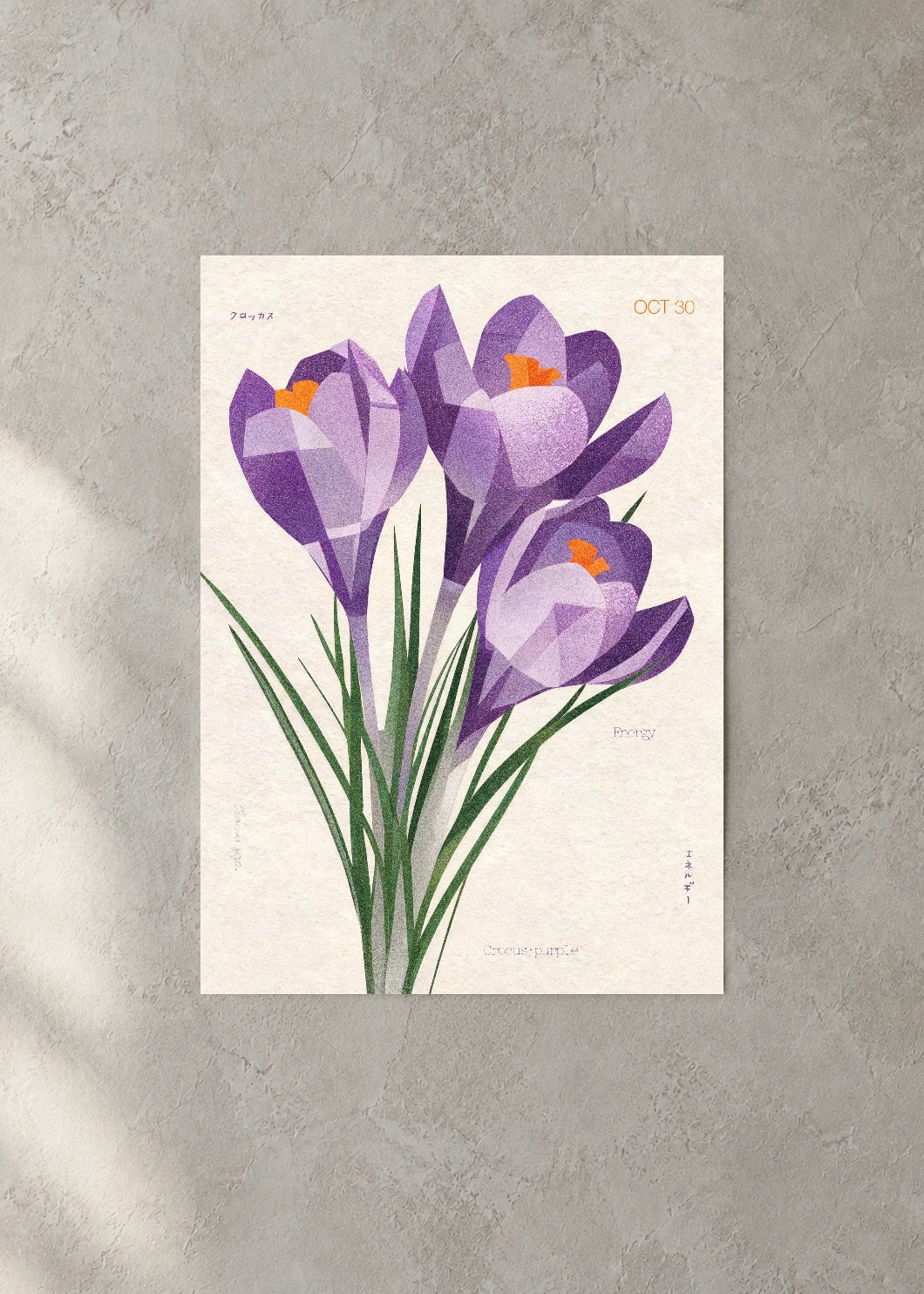 October 30 Birth Flower Poster — Crocus (Purple) — concrete wall