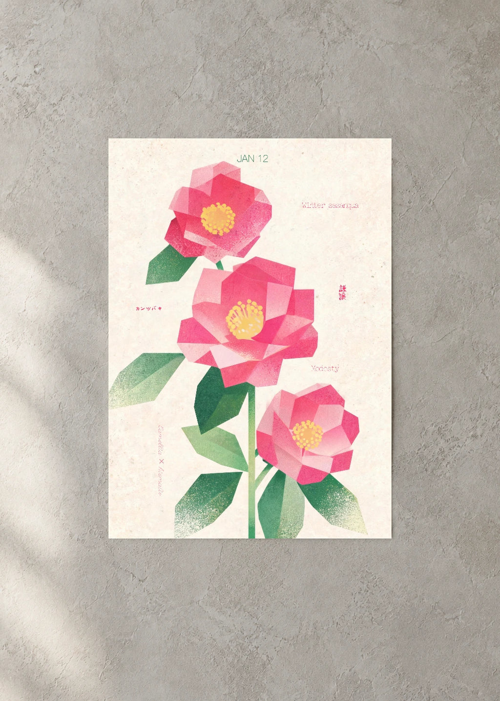 January 12 Birth Flower Poster — Winter Sasanqua — concrete wall