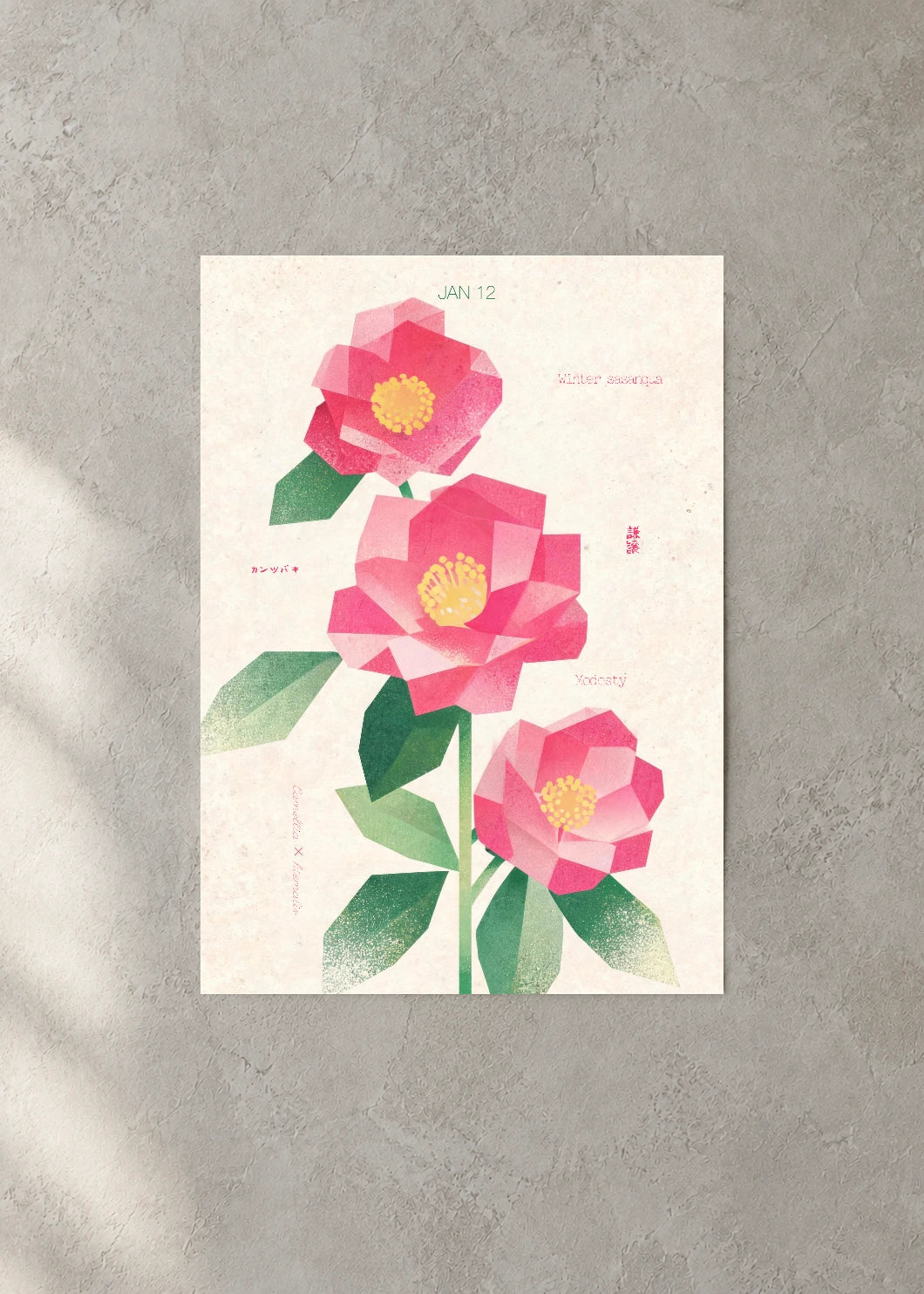 January 12 Birth Flower Poster — Winter Sasanqua — concrete wall