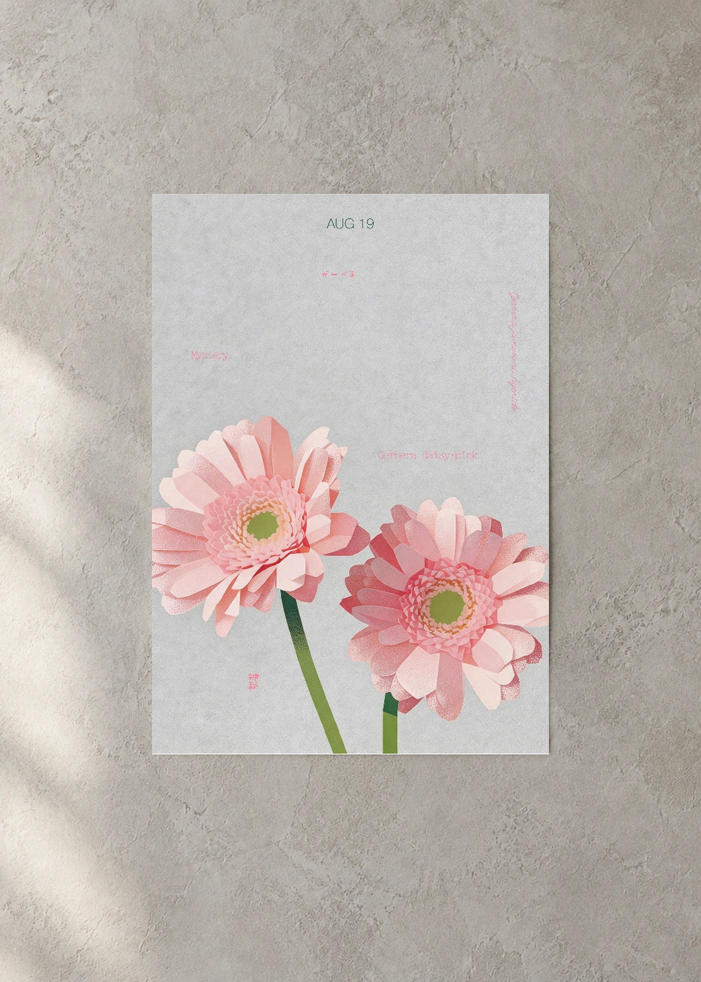 August 19 Birth Flower Poster — Gerbera Daisy (Pink) — concrete wall