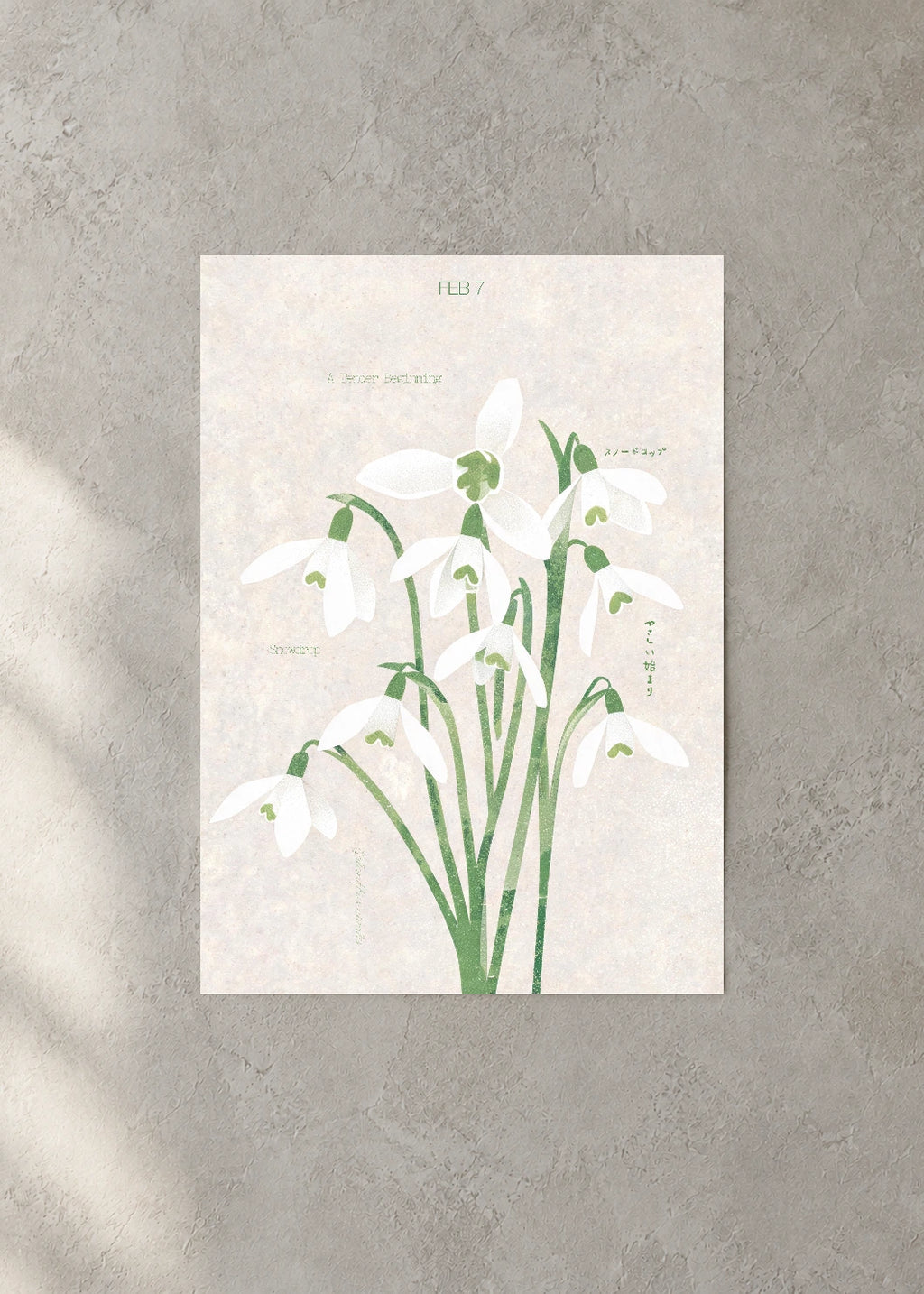 February 7 Birth Flower Poster — Snowdrop — concrete wall