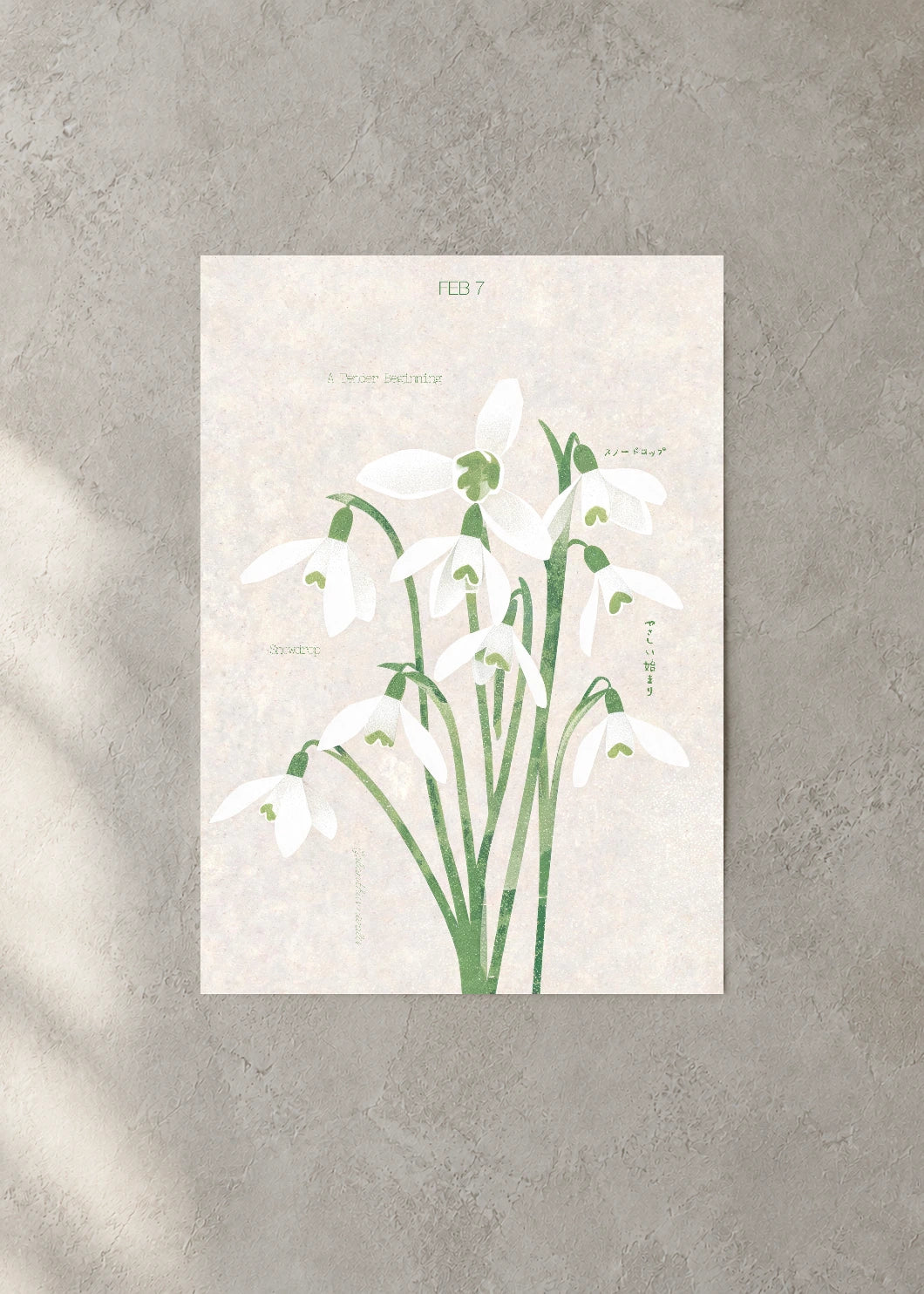 February 7 Birth Flower Poster — Snowdrop — concrete wall