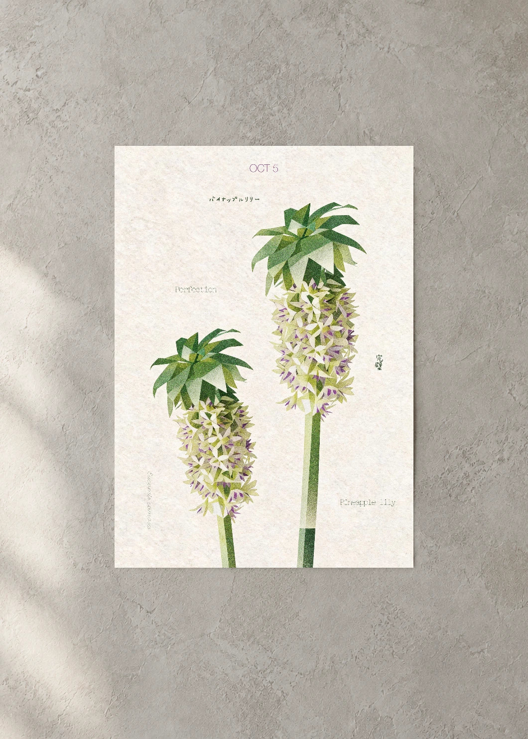 October 5 Birth Flower Poster — Pineapple Lily — concrete wall