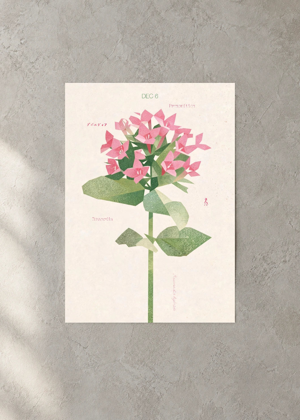 December 6 Birth Flower Poster — Bouvardia — concrete wall