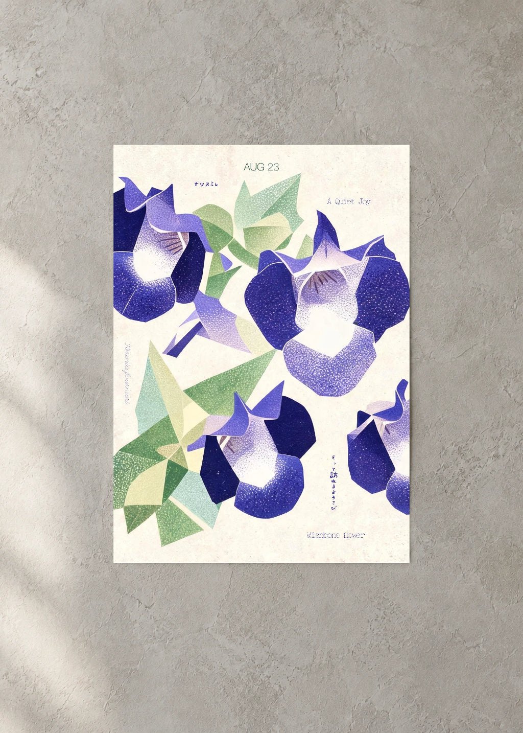 August 23 Birth Flower Poster — Wishbone Flower — concrete wall