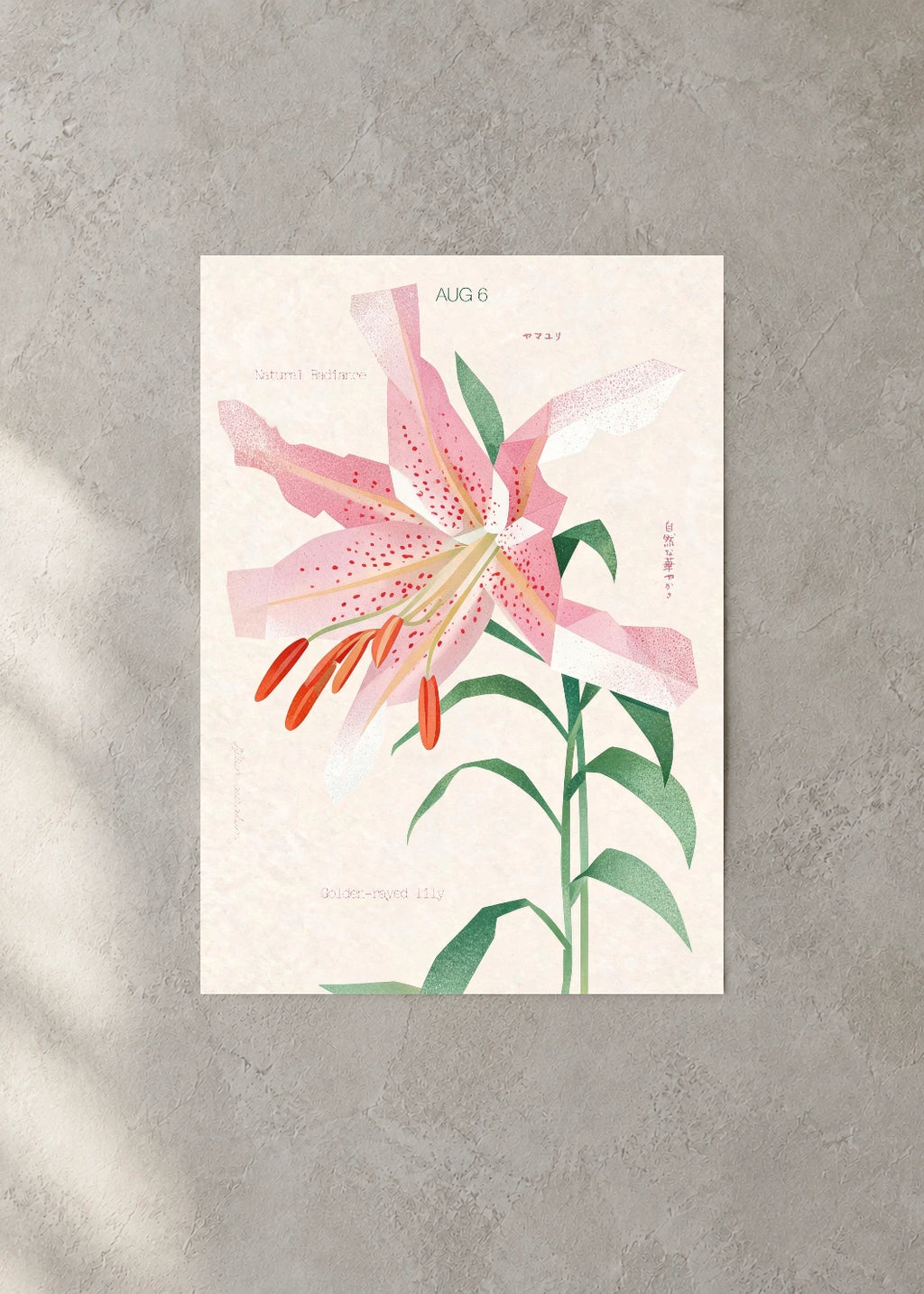 August 6 Birth Flower Poster — Golden-Rayed Lily — concrete wall