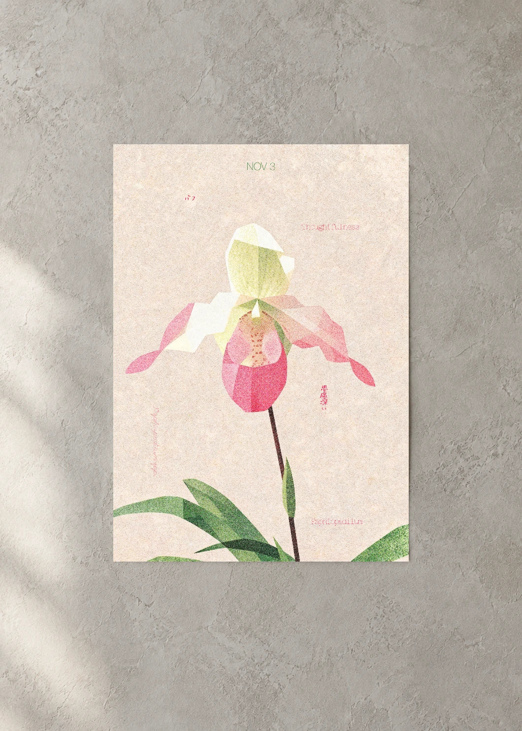 November 3 Birth Flower Poster — Slipper Orchid — concrete wall