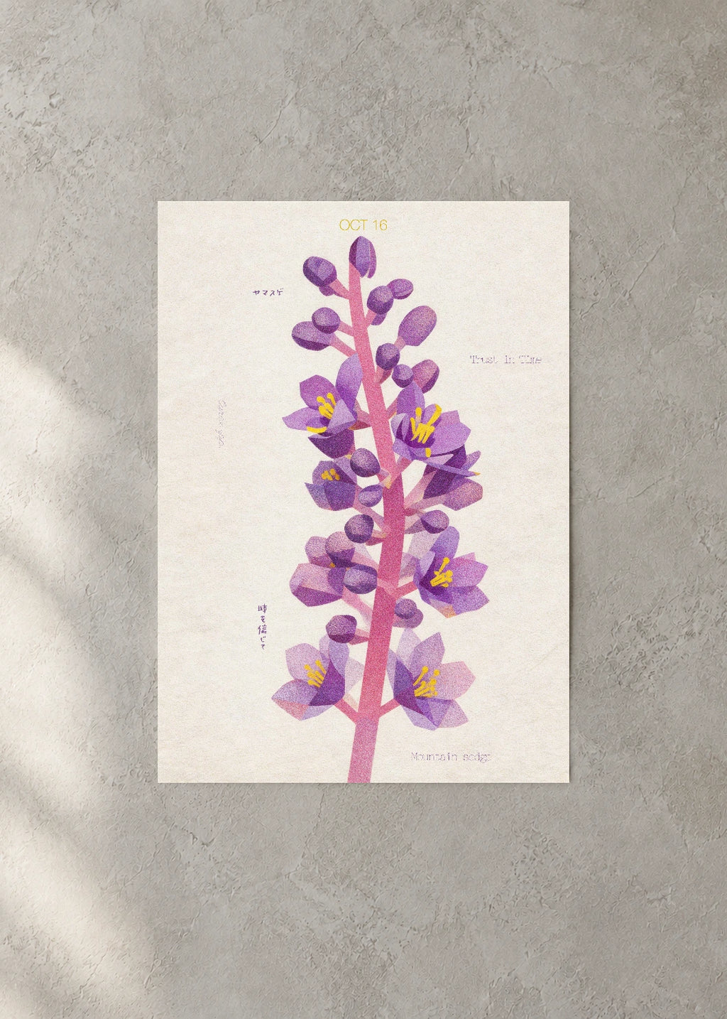 October 16 Birth Flower Poster — Mountain Sedge — concrete wall