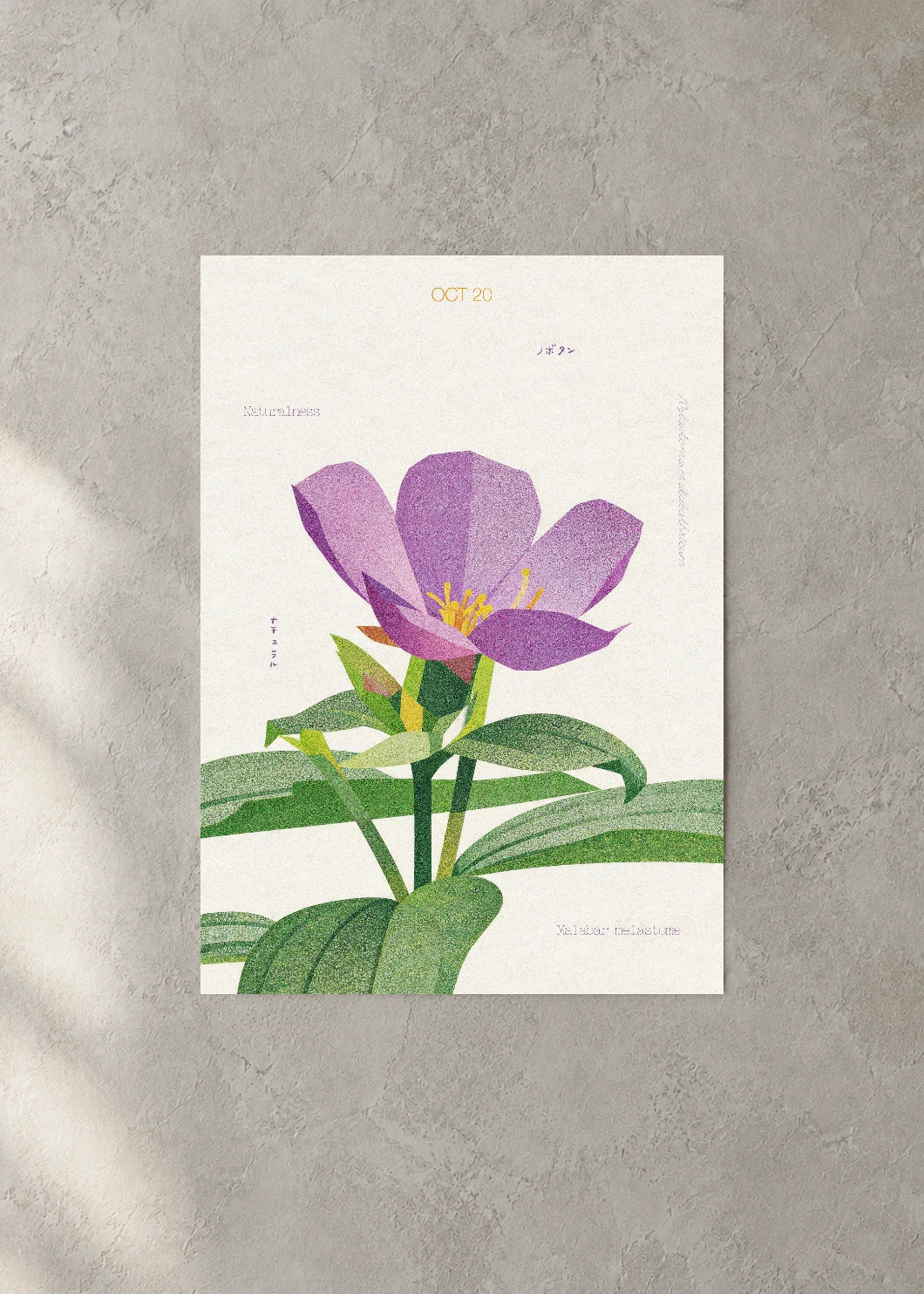 October 20 Birth Flower Poster — Malabar Melastome — concrete wall