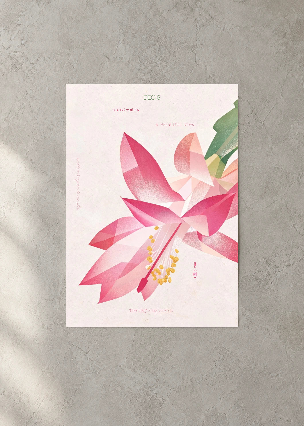 December 8 Birth Flower Poster — Thanksgiving Cactus — concrete wall