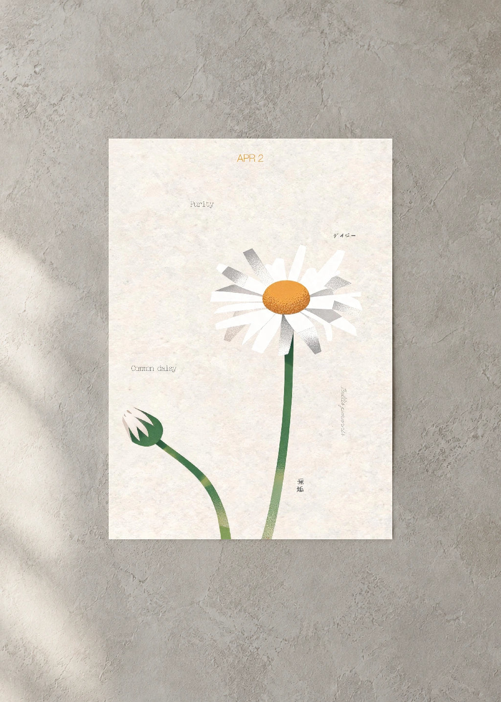 April 2 Birth Flower Poster — Common Daisy — concrete wall