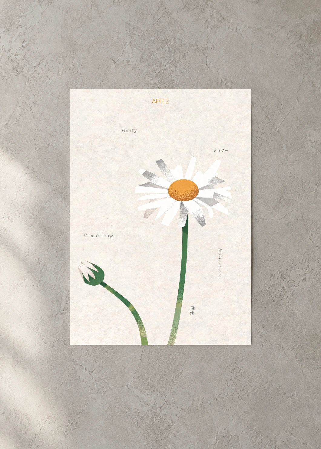 April 2 Birth Flower Poster — Common Daisy — concrete wall