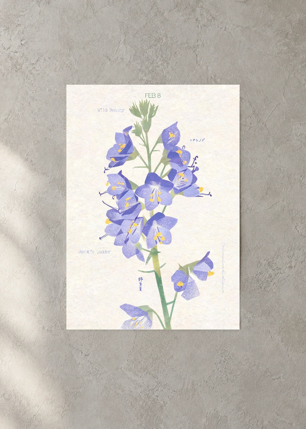 February 8 Birth Flower Poster — Japanese Jacob's Ladder — concrete wall