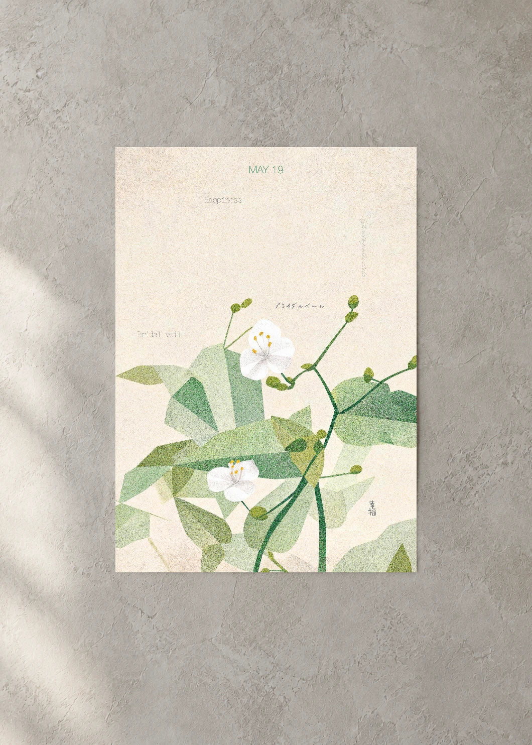 May 19 Birth Flower Poster — Bridal Veil — concrete wall