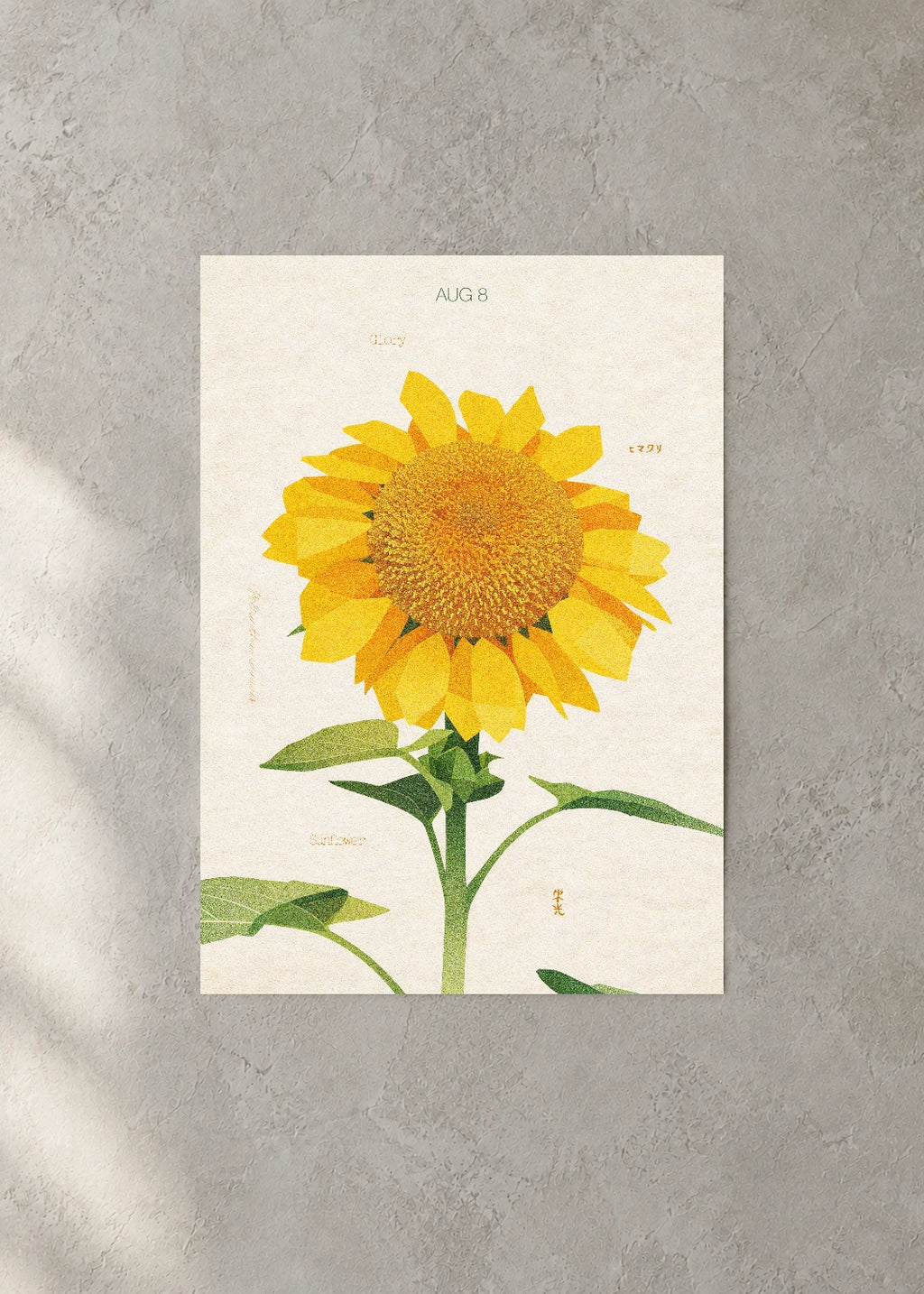 August 8 Birth Flower Poster — Sunflower — concrete wall