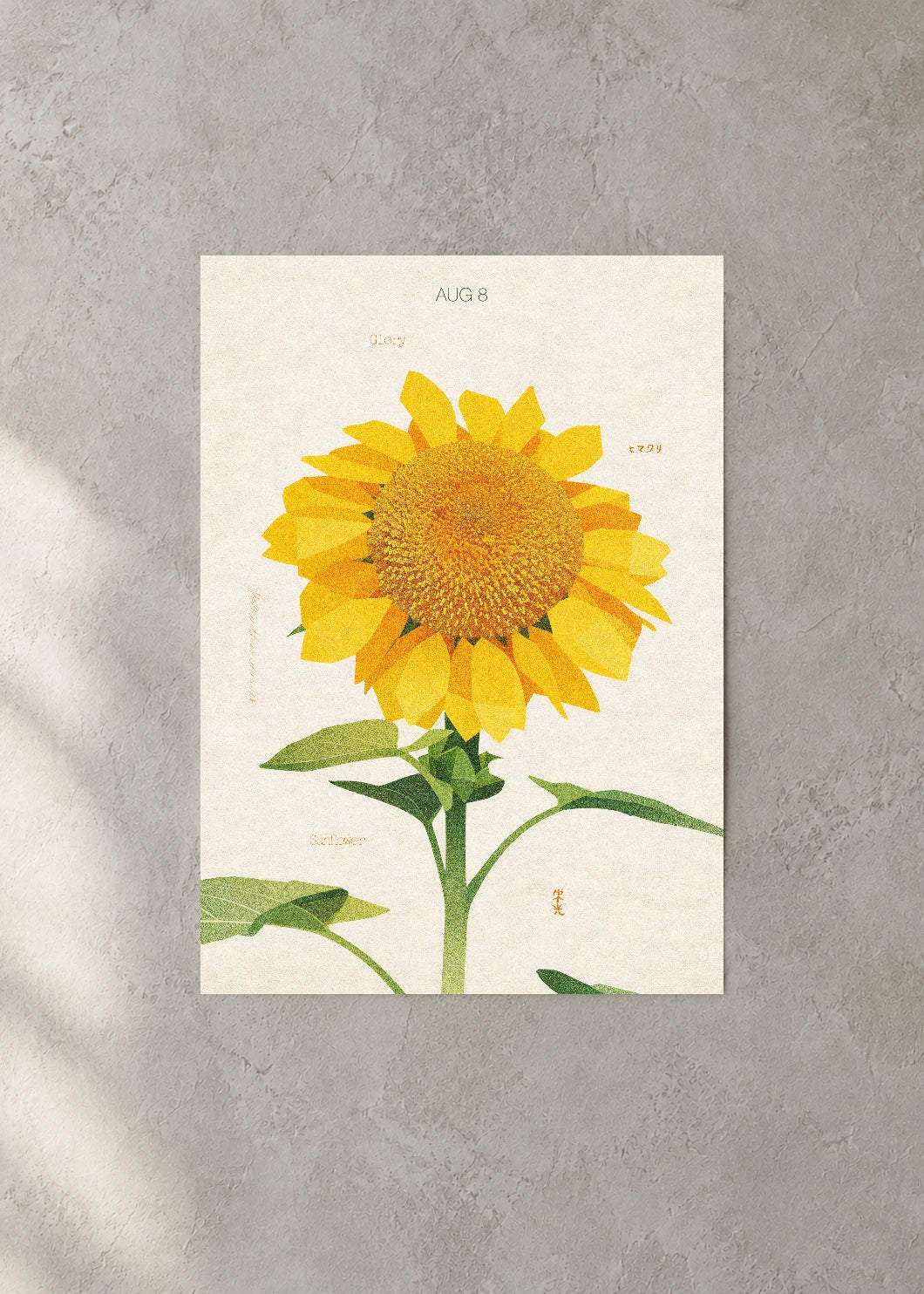 August 8 Birth Flower Poster — Sunflower — concrete wall