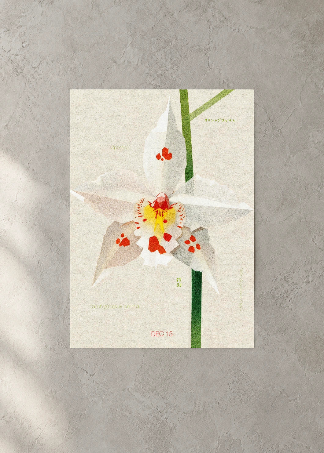 December 15 Birth Flower Poster — Odontoglossum Orchid — concrete wall