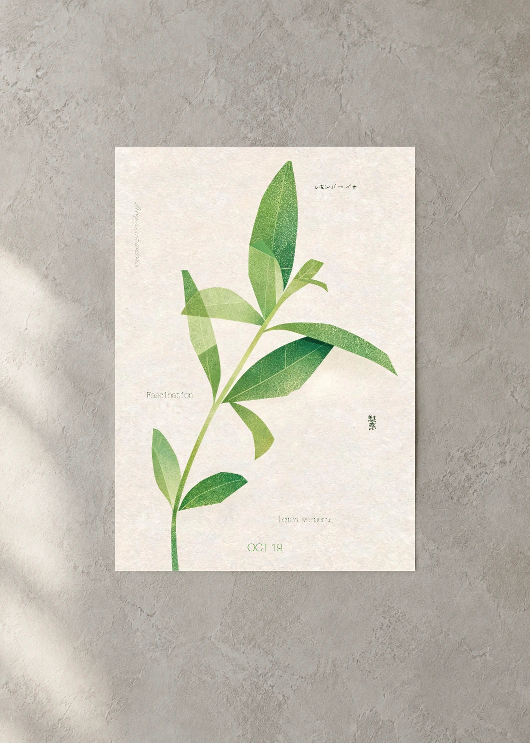 October 19 Birth Flower Poster — Lemon Verbena — concrete wall