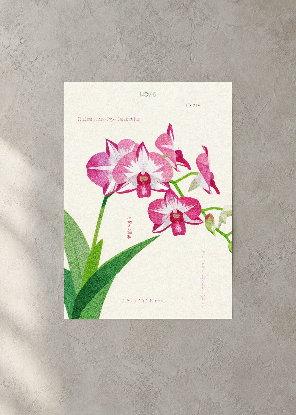 November 5 Birth Flower Poster — Dendrobium Phalaenopsis — concrete wall