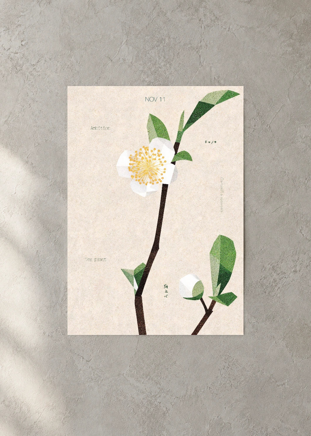 November 11 Birth Flower Poster — Tea Plant — concrete wall