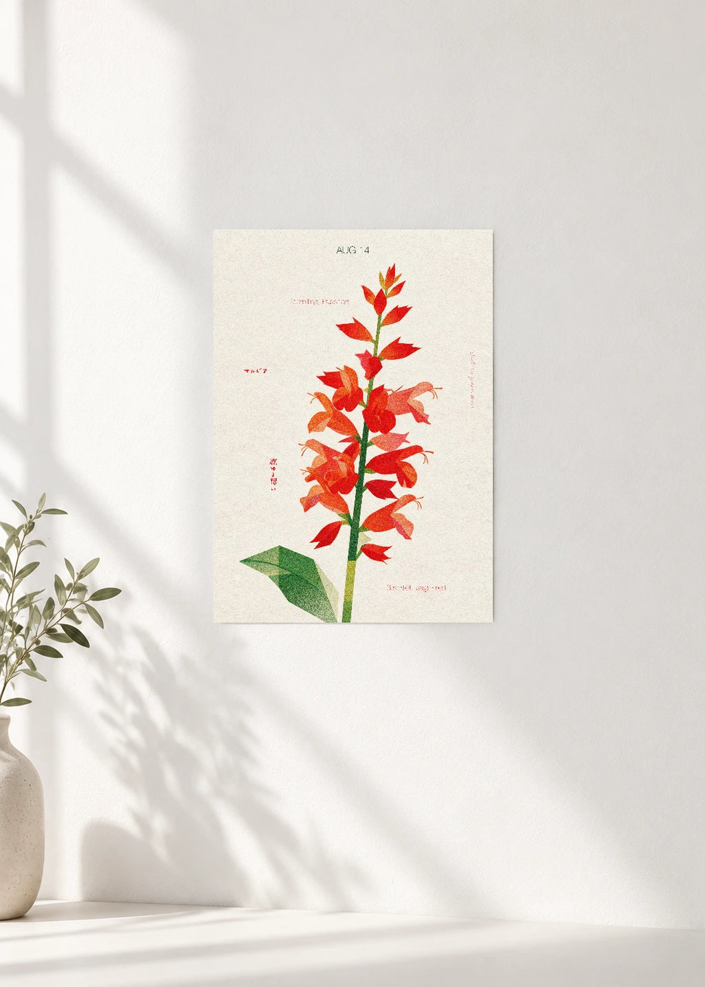 August 14 Birth Flower Poster — Scarlet Sage (Red) — clean wall