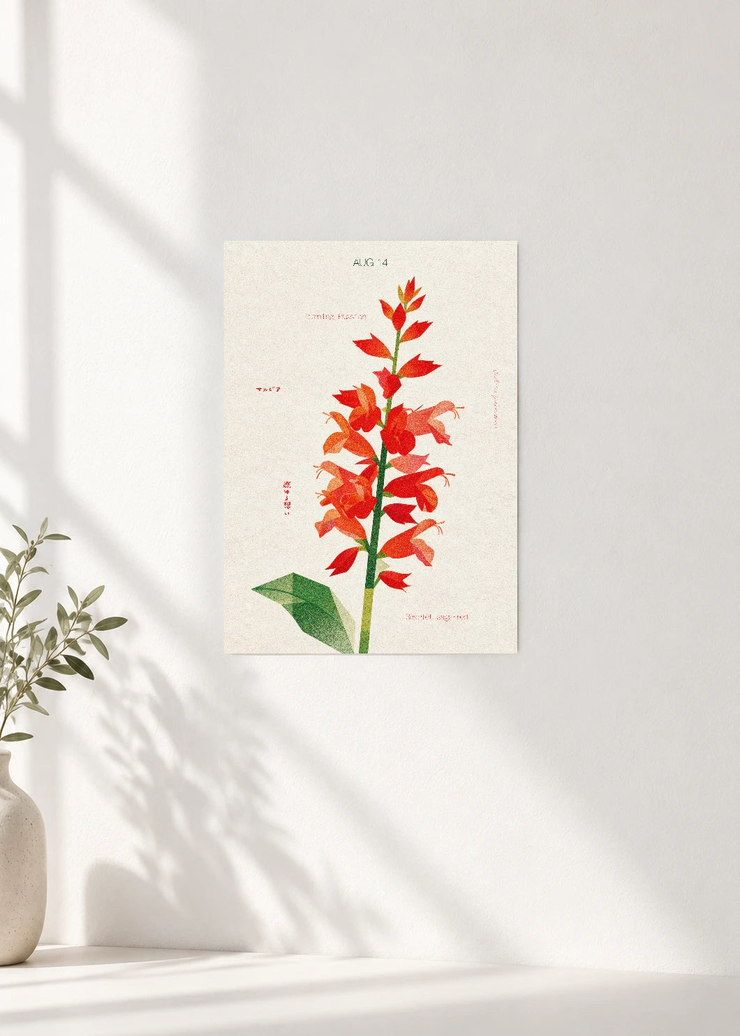 August 14 Birth Flower Poster — Scarlet Sage (Red) — clean wall