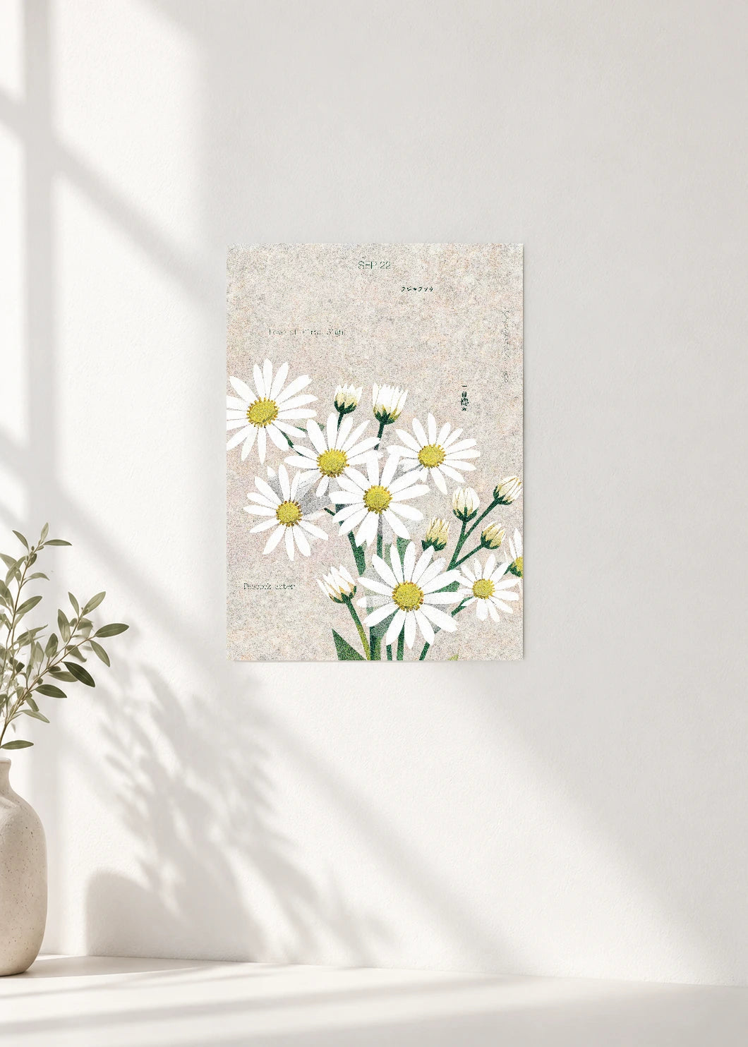 September 22 Birth Flower Poster — Peacock Aster — clean wall