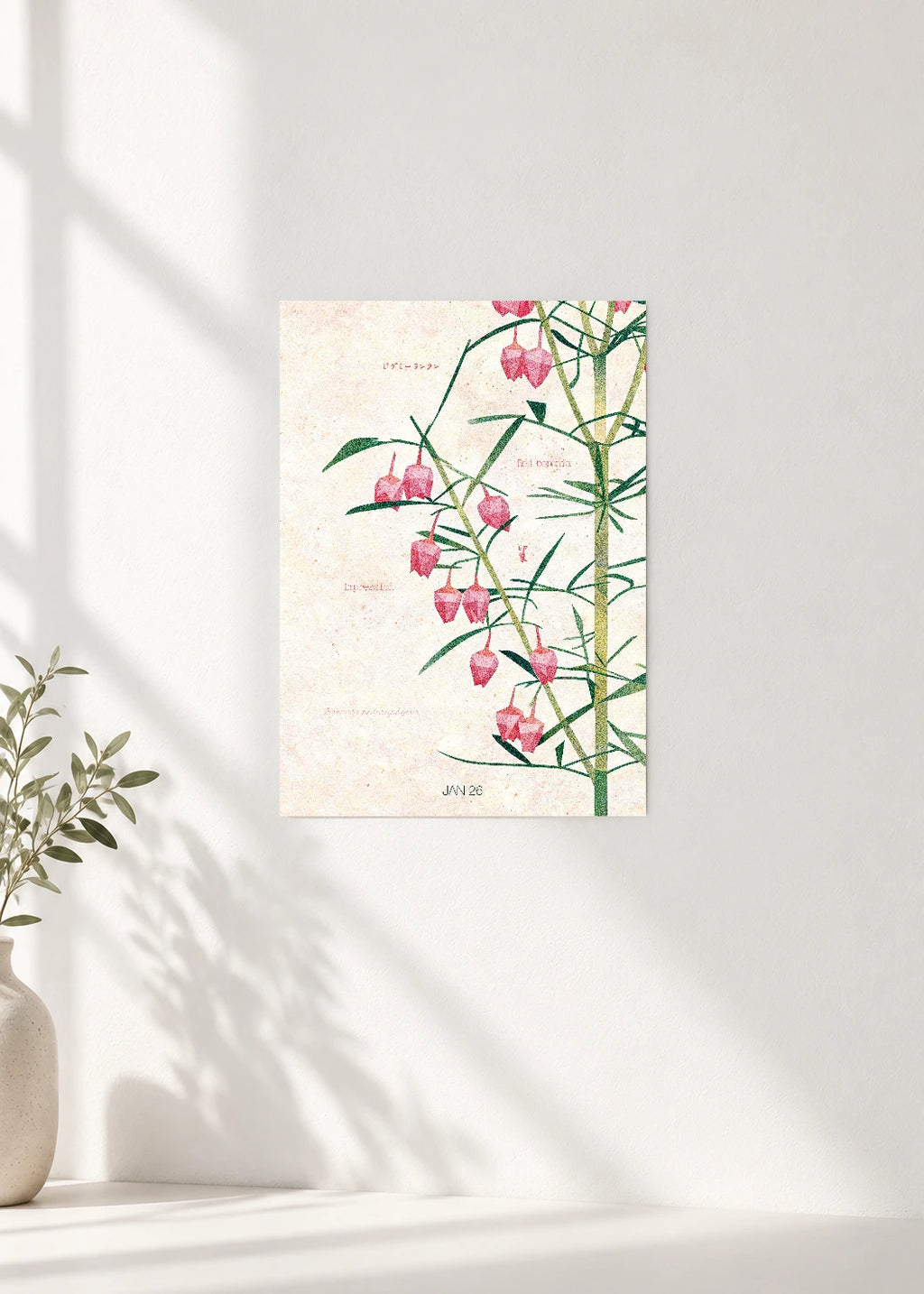 January 26 Birth Flower Poster — Red Boronia — clean wall
