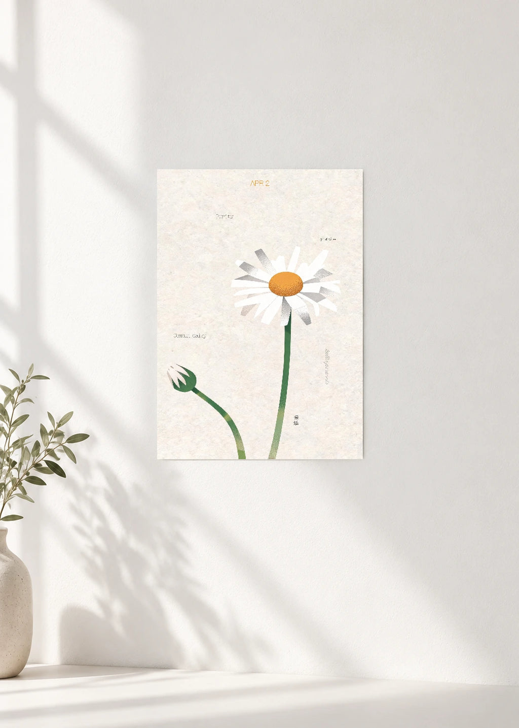 April 2 Birth Flower Poster — Common Daisy — clean wall